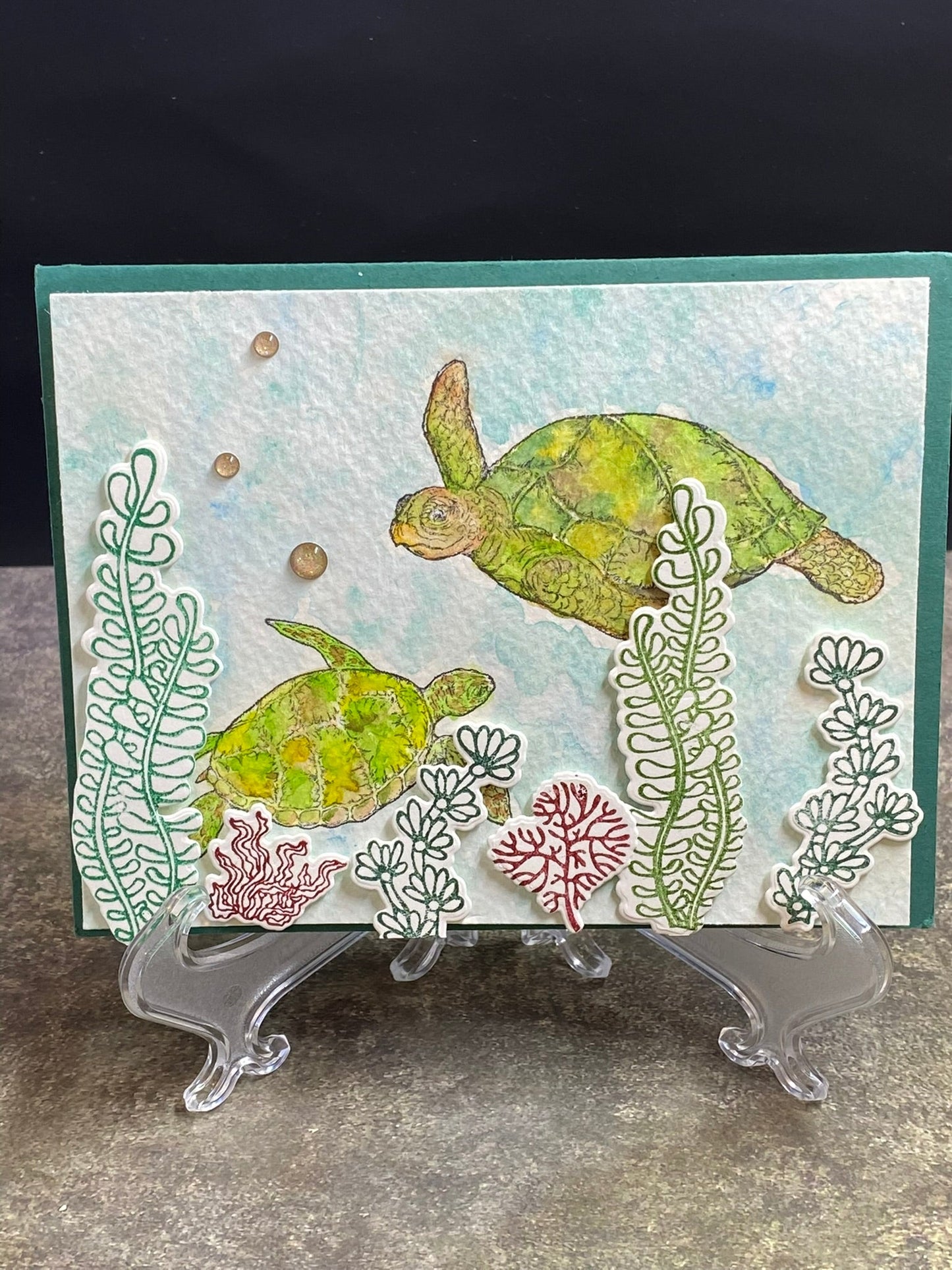 Sea Turtles - CM Design Studios
