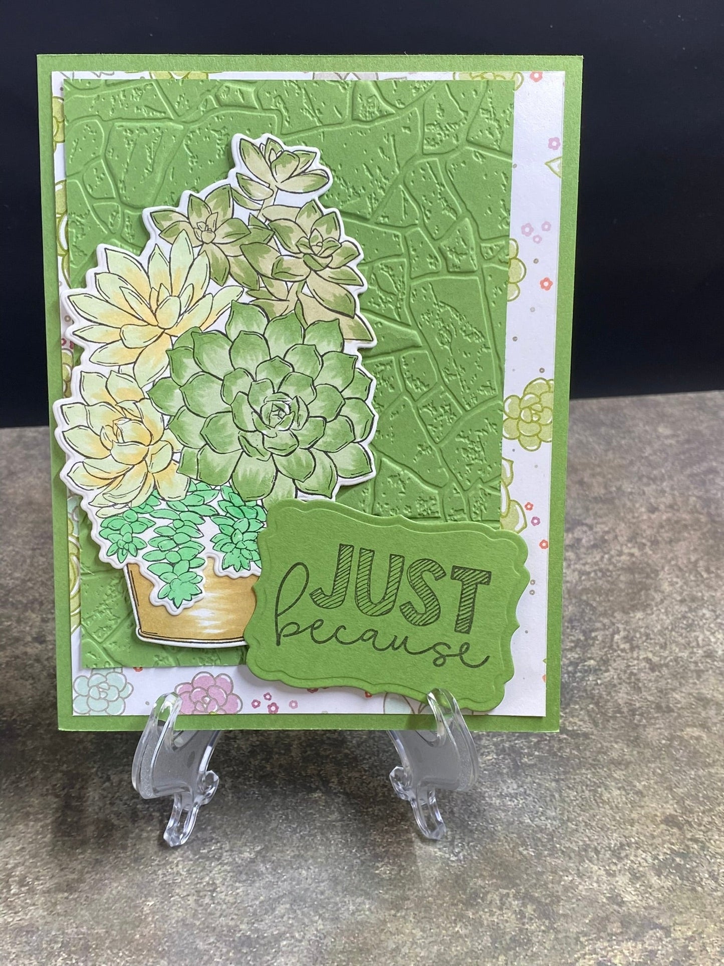 Just because - CM Design Studios