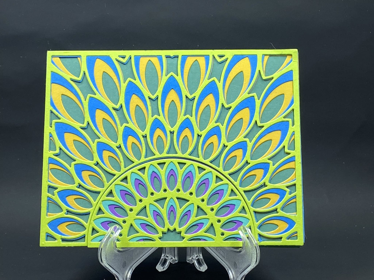 Peacock Feathers
