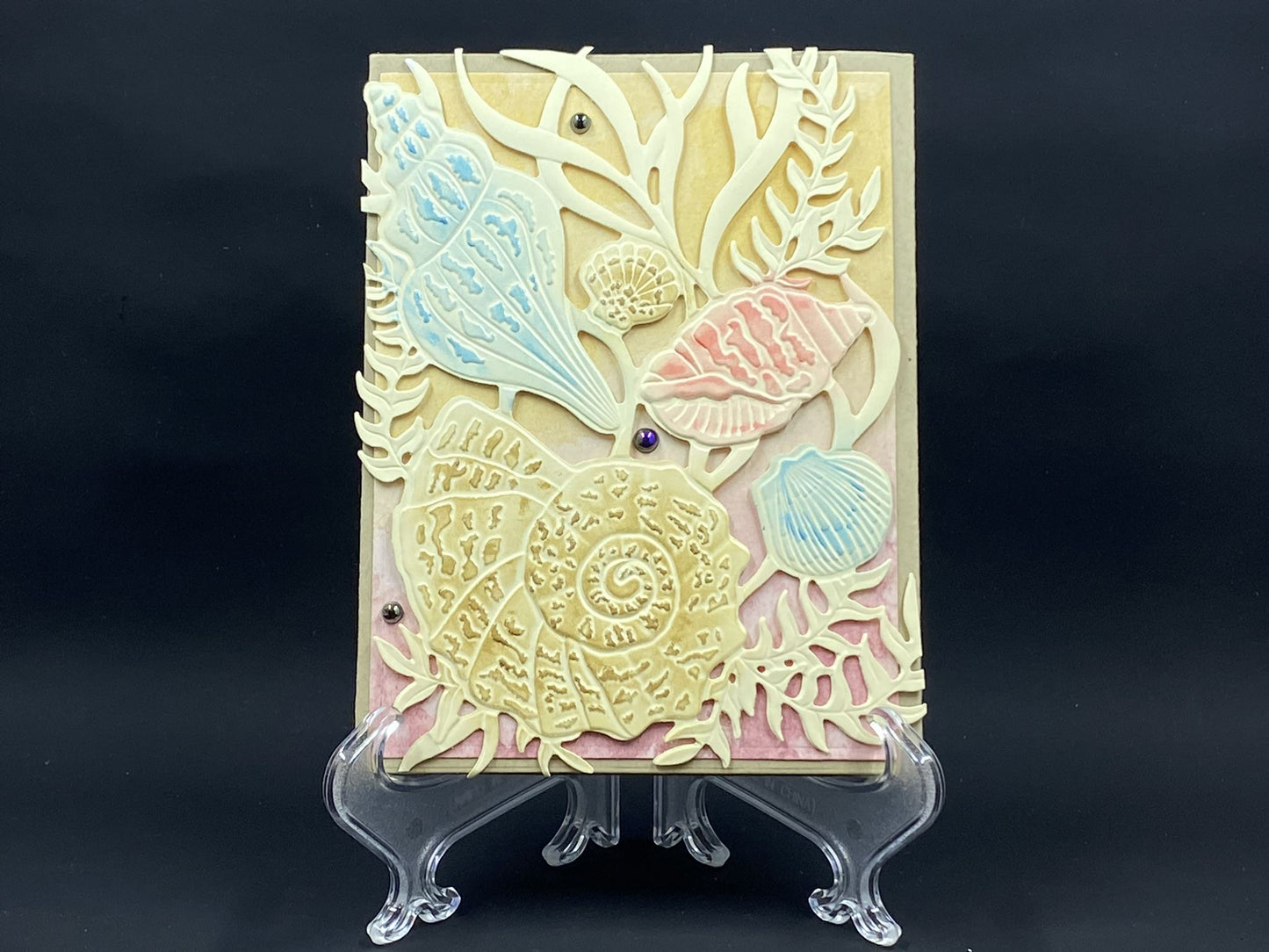 Pastel Shells - CM Design Studios