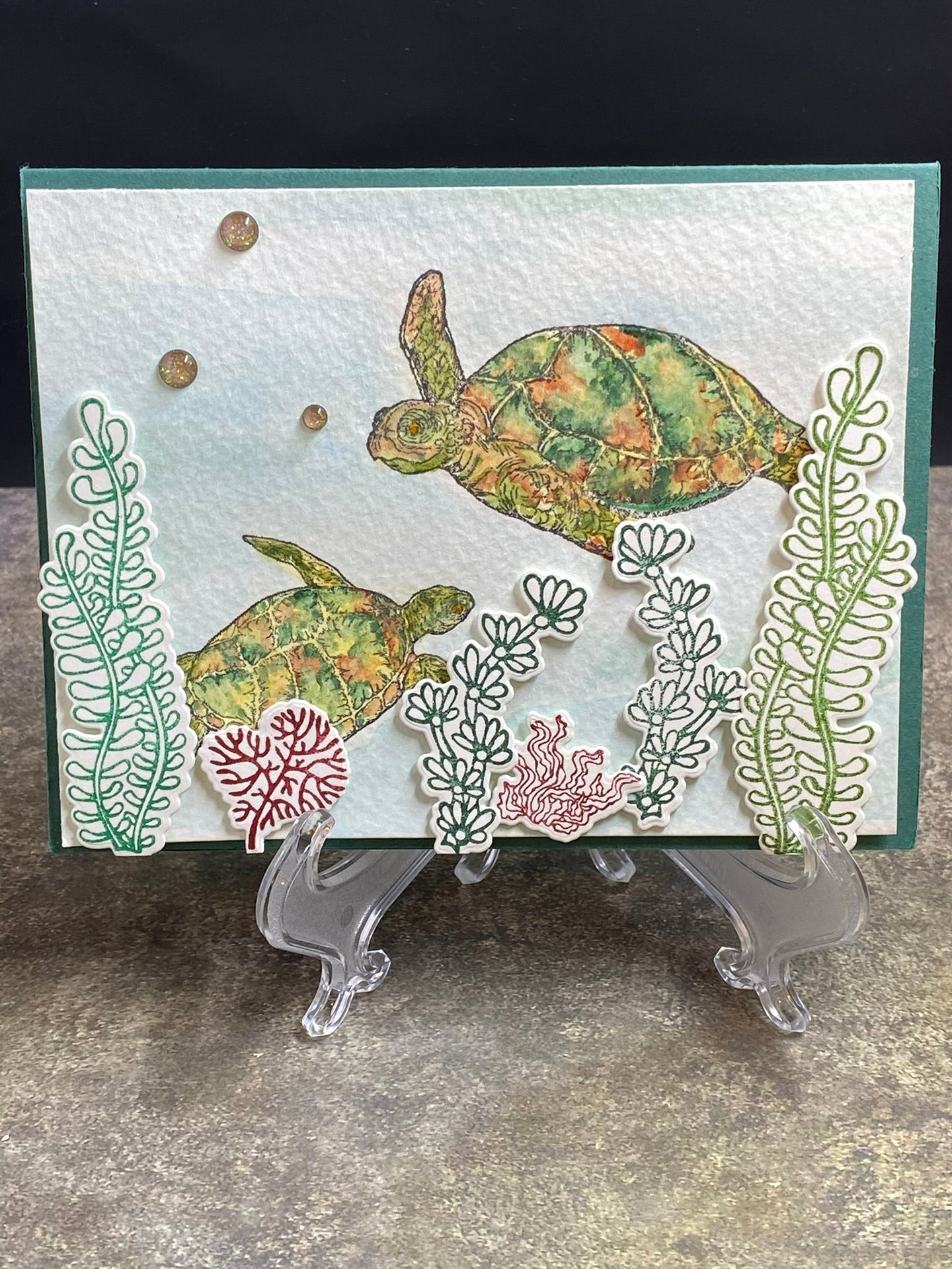 Sea Turtles - CM Design Studios