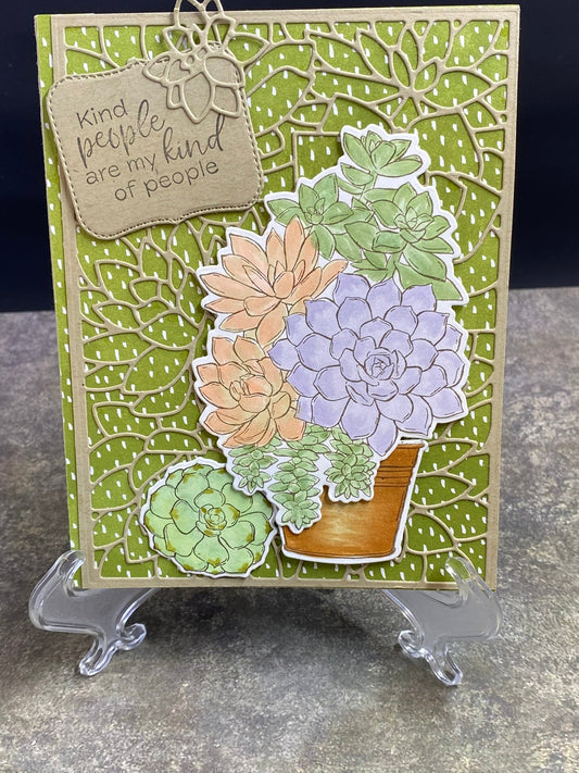 Kind people - CM Design Studios