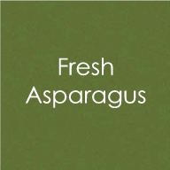 Cardstock - 8.5" x 11" - Fresh Asparagus - Heavy Weight