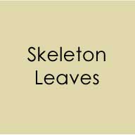 Gina K. Designs - Envelopes - A2 - Skeleton Leaves