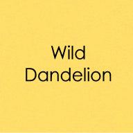 Gina K. Designs - Envelopes - A2 - Wild Dandelion