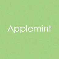 Gina K. Designs - Envelopes - A2 - Applemint